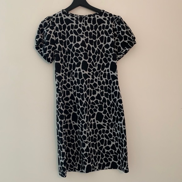 Enfocus Studio Animal Print Ruffle Collar Dress - Picture 2 of 14
